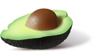 avocado-161822__180